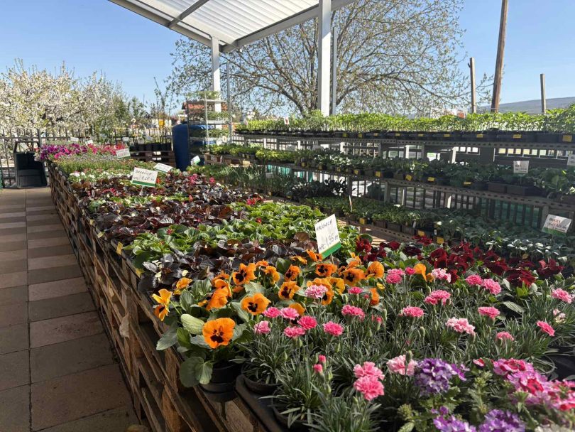 viber slika 2026 04 16 22 14 42 744