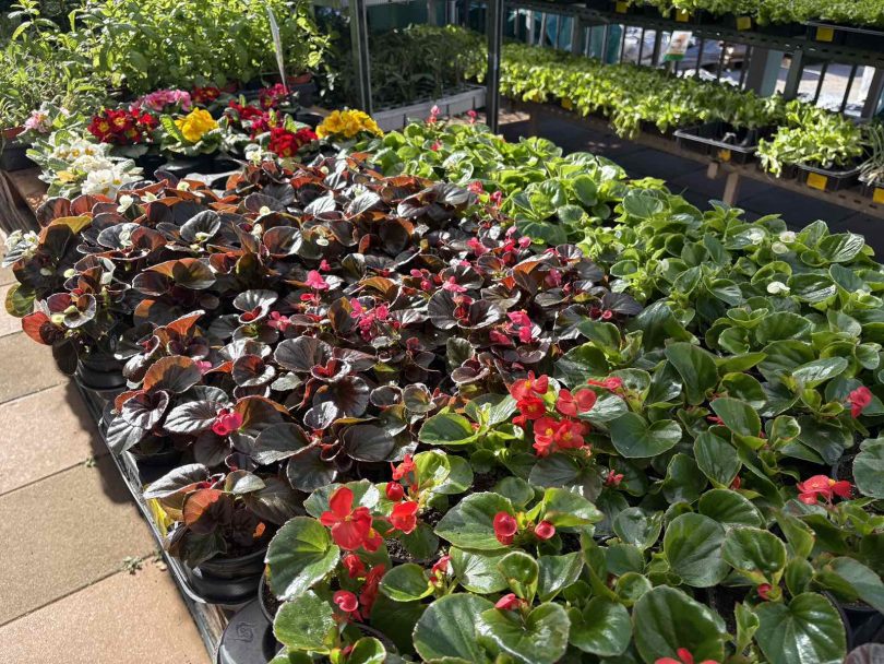 viber slika 2026 04 16 22 14 42 921