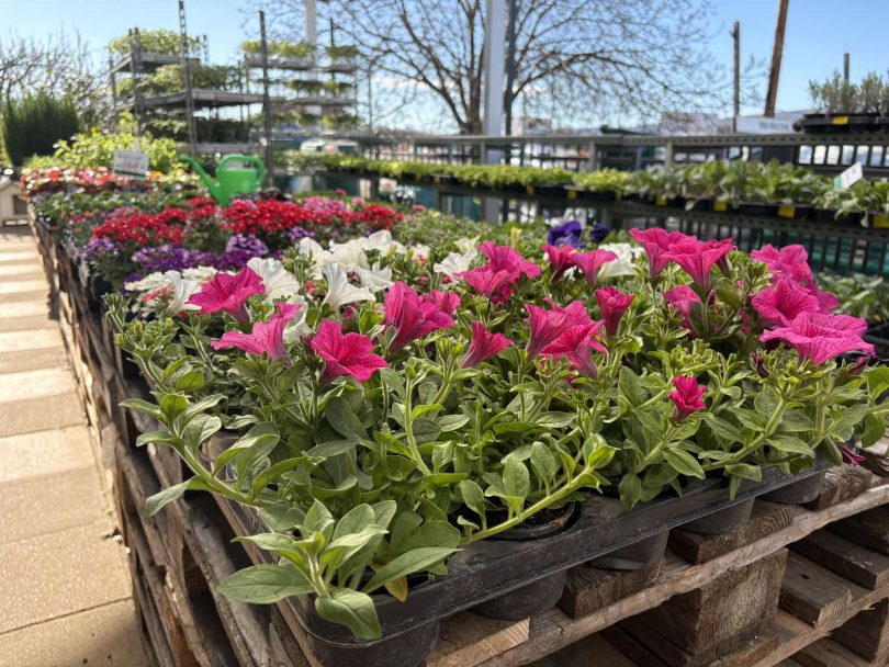 viber slika 2026 04 16 22 14 43 245