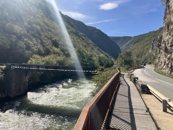 vrbas