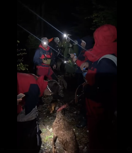 Noćna akcija spasavanja: članovi gorske službe spašavanja sa reflektorima pomažu planinarcima na terenu