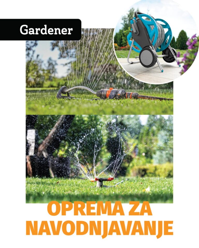 viber slika 2026 06 19 14 31 20 036 768x954 1