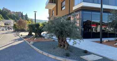 Hills Residence FOTO PR 5