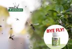 byye fly agrokutak 1024x682 1