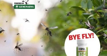 byye fly agrokutak 1024x682 1