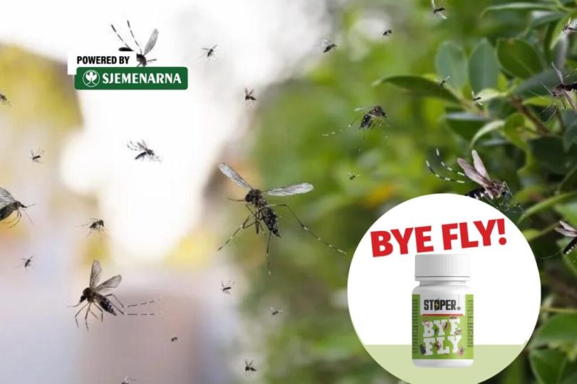 byye fly agrokutak 1024x682 1