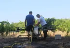 vinarija citluk uvela je poljoprivredni dron dji agras t100 za zastitu i prihranu vinograda prvi je put koristen na 50 hektara u dubravama