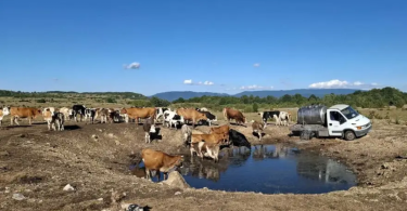 bunari i pojili ta ostali bez kapi vode cisterna u