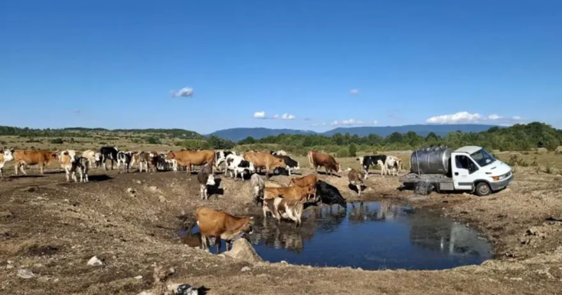bunari i pojili ta ostali bez kapi vode cisterna u