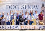 dog show u posu ju okupio izlaga e iz 21 europske