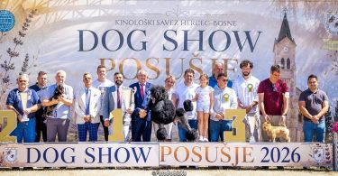 dog show u posu ju okupio izlaga e iz 21 europske