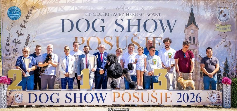 dog show u posu ju okupio izlaga e iz 21 europske