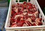 nema evidencije o povu enom mesu u fbih u 40 kontr