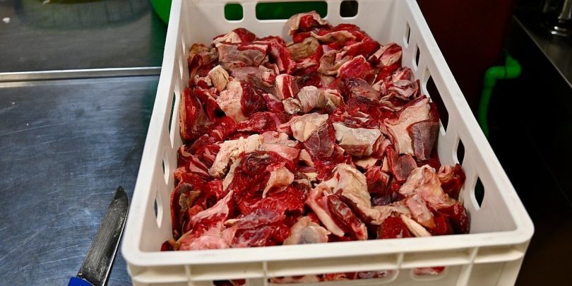 nema evidencije o povu enom mesu u fbih u 40 kontr