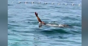 okovi zaplivao me u kupa ima na jadranu turisti o