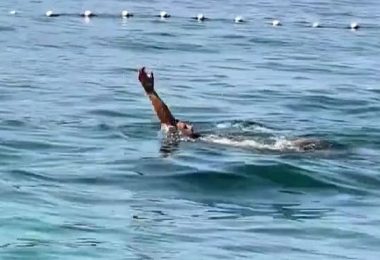 okovi zaplivao me u kupa ima na jadranu turisti o