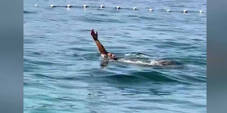 okovi zaplivao me u kupa ima na jadranu turisti o