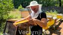 posu je p elari upozoravaju na slabu sezonu klimat