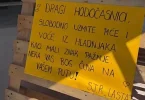 telegram foto 130