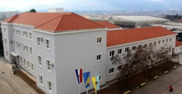 telegram foto 220