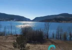 telegram foto 232