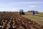 to rade dr ava i entiteti uvozimo 80 posto hrane