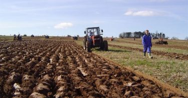 to rade dr ava i entiteti uvozimo 80 posto hrane