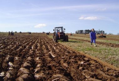 to rade dr ava i entiteti uvozimo 80 posto hrane