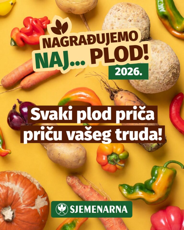 viber slika 2026 07 24 09 31 16 330 768x961 1