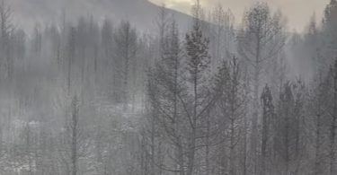 Pozar na Blidinjama