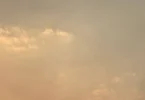 telegram foto 25
