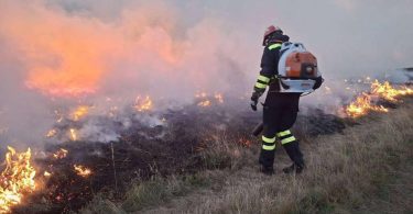 vatra kod gruda stavljena pod kontrolu izgorjele b