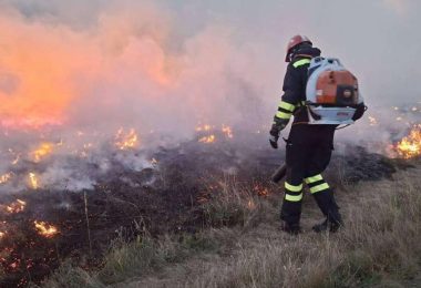 vatra kod gruda stavljena pod kontrolu izgorjele b