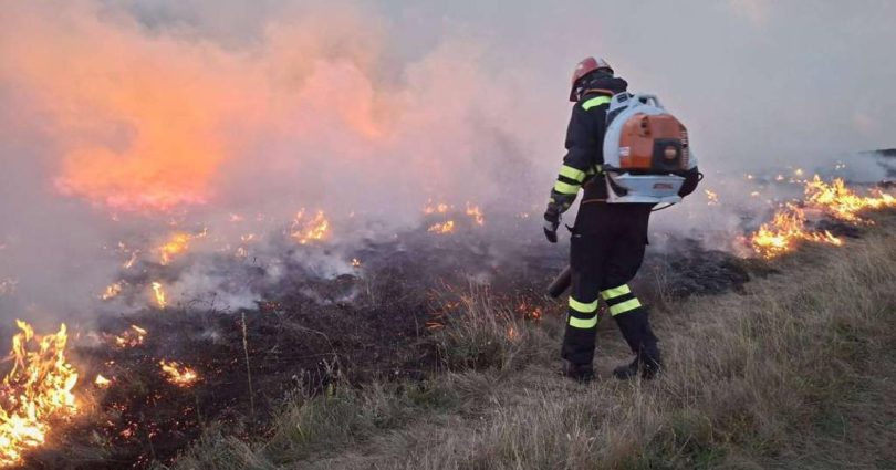 vatra kod gruda stavljena pod kontrolu izgorjele b