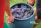 viber slika 2026 09 07 14 10 55 565 810x540 1
