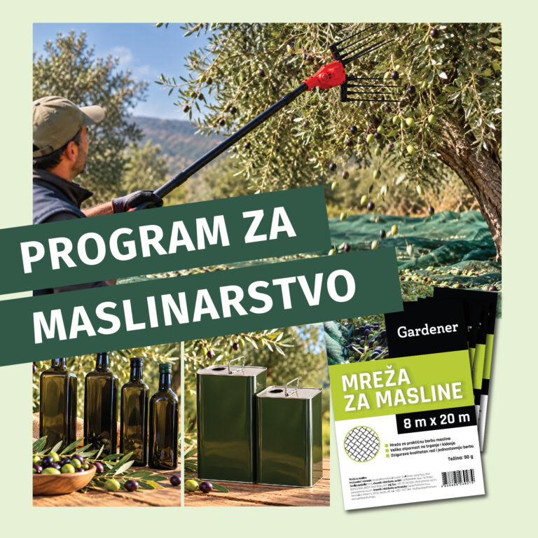 016 768x768 1 1