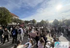 IMG 0778