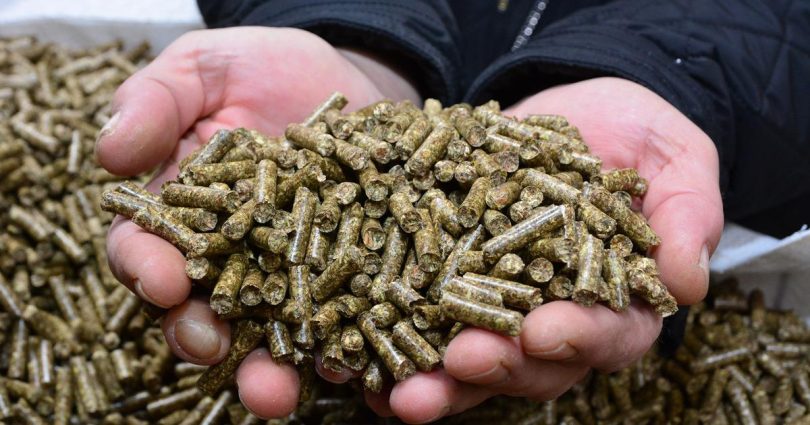 pelet opet brine gra ane na isporuku se eka do pro