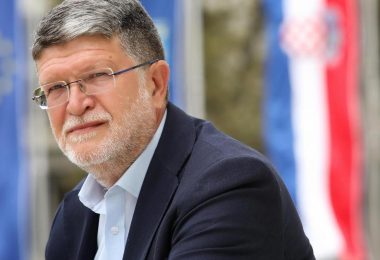 picula o izborima u srbiji volja bira a zaslu uje
