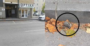 ponovno prona ena ru na bomba ispred zgrade rtv he
