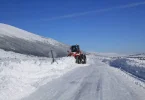telegram foto 123