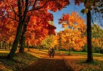 telegram foto 5