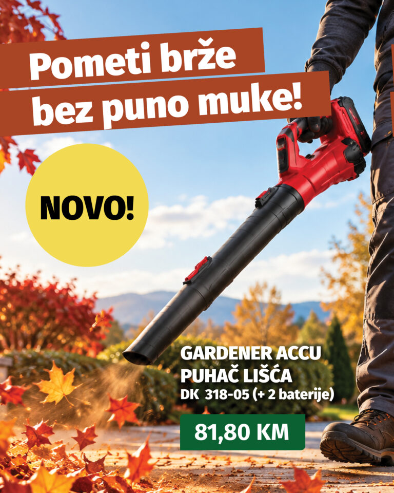 viber slika 2026 09 30 13 45 41 575 768x960 1 1