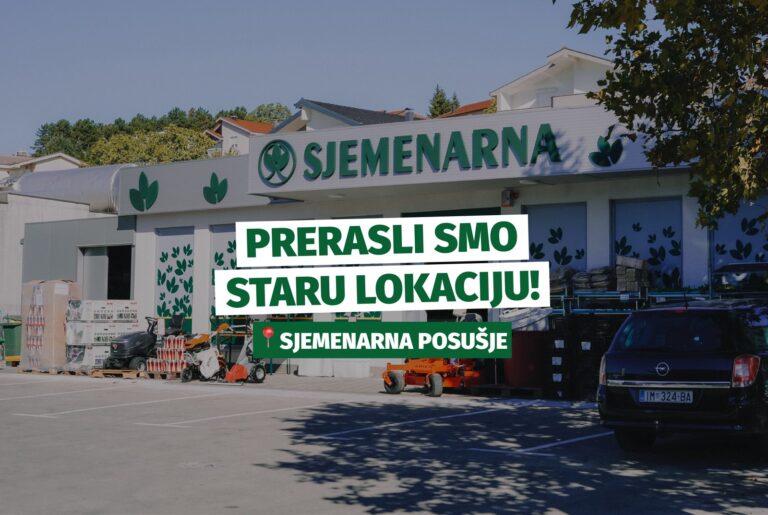 viber slika 2026 10 07 14 17 21 384 768x515 1